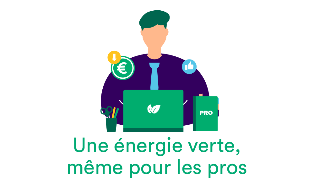 Mint Energie pour les pros